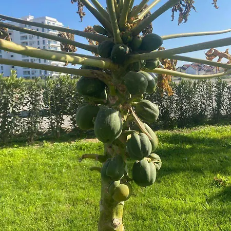High Comfort Sea View Long Iskele District (Northern Cyprus)