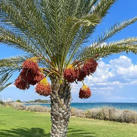 شقة High Comfort Sea View Long *