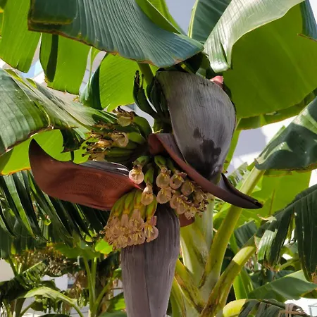 High Comfort Sea View Long Iskele District (Northern Cyprus)