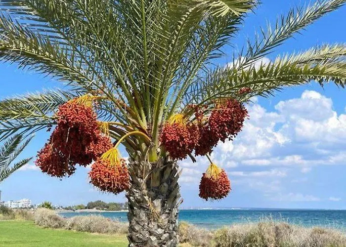 Apartament High Comfort Sea View Long *