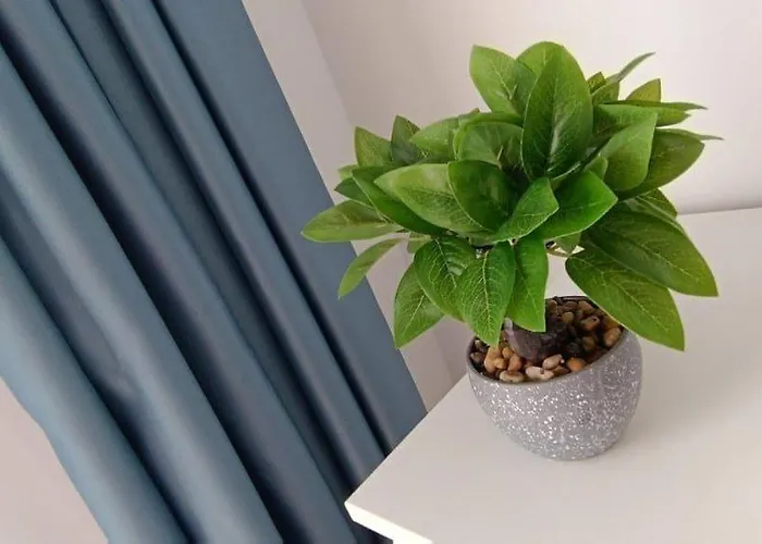 High Comfort Sea View Long *