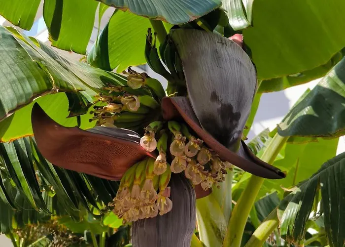 High Comfort Sea View Long Iskele District (Northern Cyprus)