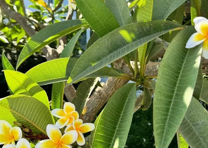 Apartament High Comfort Sea View Long Iskele District (Northern Cyprus)