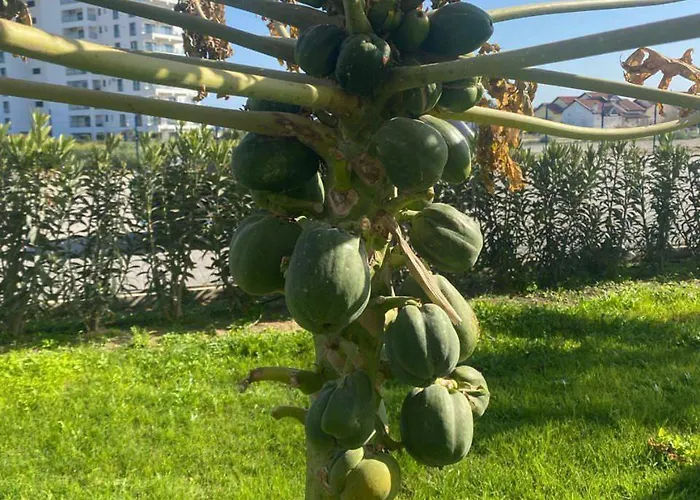 High Comfort Sea View Long Iskele District (Northern Cyprus)